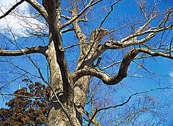 《橡胶大乱斗》试玩版上线：《橡胶强盗》的作者推出全新乱斗游戏